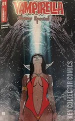 Variant Cover for Vampirella Winter Special #1