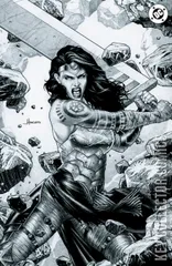 Cover for Absolute Wonder Woman #21