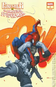 Punisher vs Spider-Man #1