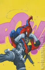 Cover for Punisher vs Spider-Man #1