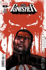 Cover for Punisher #6