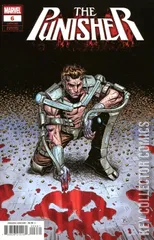Cover for Punisher #6