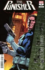 Cover for Punisher #6