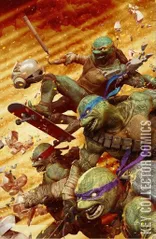 Cover for Teenage Mutant Ninja Turtles #20