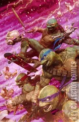 Cover for Teenage Mutant Ninja Turtles #20