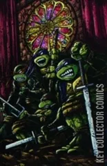 Cover for Teenage Mutant Ninja Turtles #21