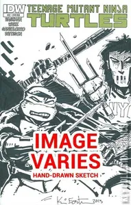 Teenage Mutant Ninja Turtles #22