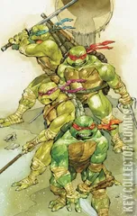 Cover for Teenage Mutant Ninja Turtles #20