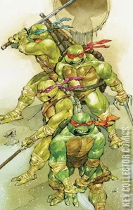 Teenage Mutant Ninja Turtles #20