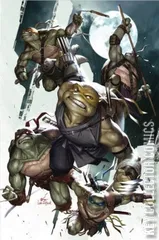 Cover for Teenage Mutant Ninja Turtles #100
