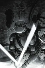 Cover for Teenage Mutant Ninja Turtles #147
