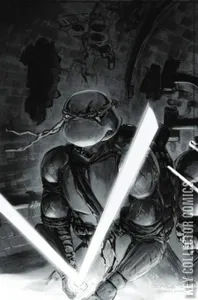 Teenage Mutant Ninja Turtles #147