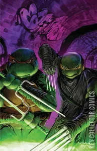 Teenage Mutant Ninja Turtles #148