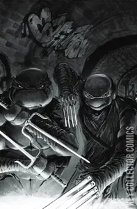 Teenage Mutant Ninja Turtles #148