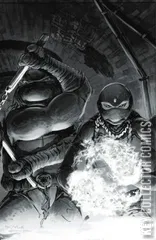 Cover for Teenage Mutant Ninja Turtles #149
