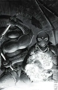 Teenage Mutant Ninja Turtles #149
