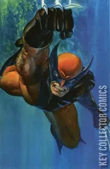 Cover for Wolverine #23
