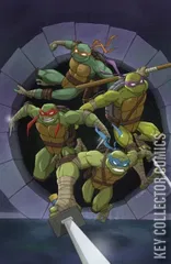 Cover for Teenage Mutant Ninja Turtles #20