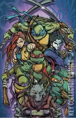 Cover for Teenage Mutant Ninja Turtles #20
