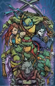 Teenage Mutant Ninja Turtles #20
