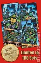 Cover for Teenage Mutant Ninja Turtles #20