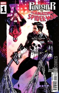 Punisher vs Spider-Man #1