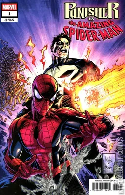 Punisher vs Spider-Man