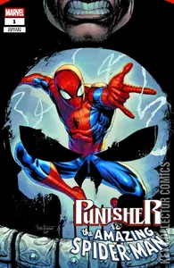 Punisher vs Spider-Man #1