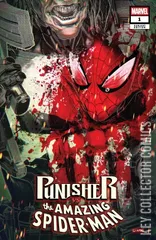 Cover for Punisher vs Spider-Man #1