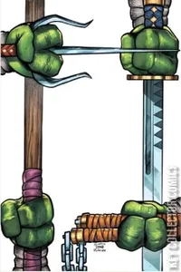 Teenage Mutant Ninja Turtles #20