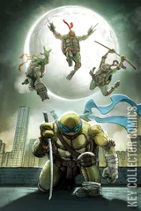 Cover for Teenage Mutant Ninja Turtles #20