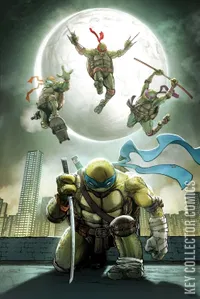 Teenage Mutant Ninja Turtles #20