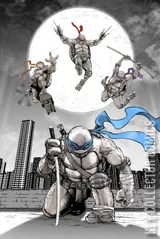 Cover for Teenage Mutant Ninja Turtles #20