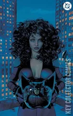 Cover for Absolute Catwoman #3