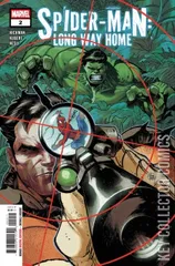 Cover for Spider-Man: Long Way Home #2