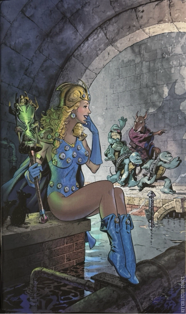 Teenage Mutant Ninja Turtles #20 Virgin Variant – Value & Details