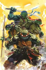 Cover for Teenage Mutant Ninja Turtles #20