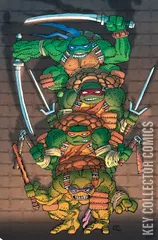Cover for Teenage Mutant Ninja Turtles #20