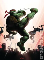 Cover for Teenage Mutant Ninja Turtles #20
