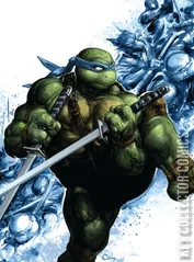 Cover for Teenage Mutant Ninja Turtles #20