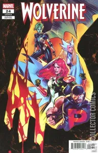 Wolverine #24