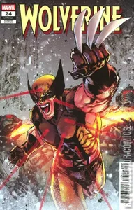 Wolverine #24