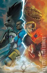 Cover for Terminal #1