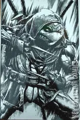 Cover for Teenage Mutant Ninja Turtles: The Last Ronin II - ReEvolution #2
