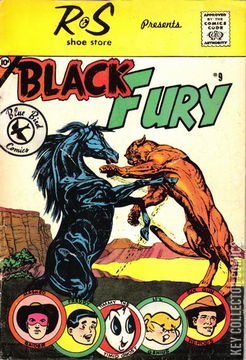 Variant Cover for Black Fury #9