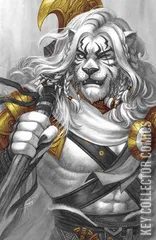 Cover for Magic the Gathering #13