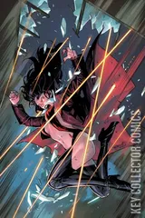 Variant Cover for Vengeance of Vampirella #10