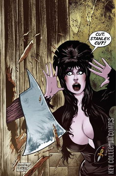 Variant Cover for Elvira In Horrorland #2
