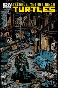 Teenage Mutant Ninja Turtles #55