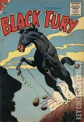 Cover for Black Fury #2